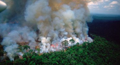 1566416656-amazon-on-fire-960x540