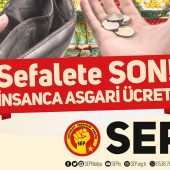 SEP Asgari